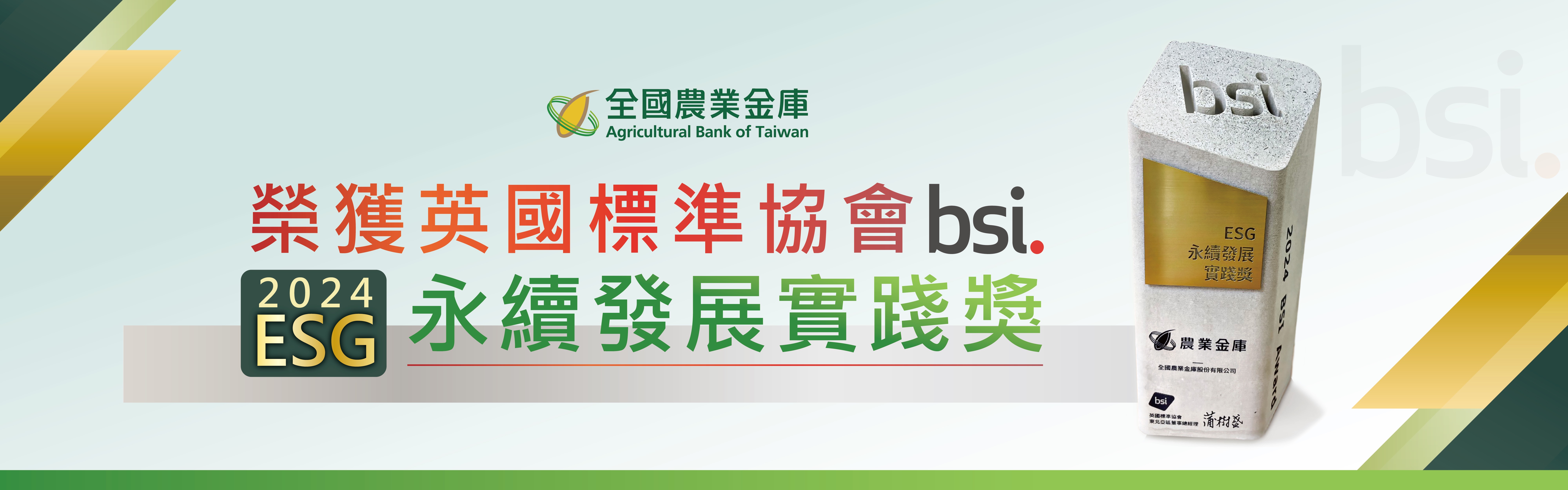BSI永續發展實踐獎
